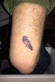 ptica 3d tetovaža muška noga crna ptica tetovaža slika