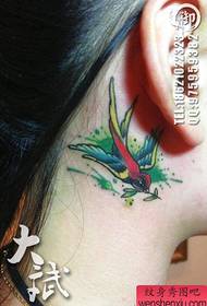 girl ear beautiful colored small swallow tattoo pattern