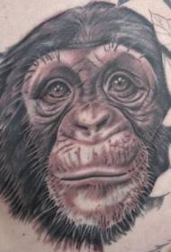 गोंडस काळा राखाडी चिंपांझी डोके टॅटूचा नमुना