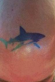 Tsarin Tattoo kan kai: Alamar launi launi totem shark tattoo