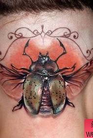 un traballo de tatuaxe de insectos na cabeza é compartido polo tatuaje 35849 - o traballo creativo da tatuaxe na cabeza