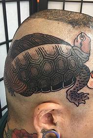 galvas bruņurupuča tetovējuma modelis