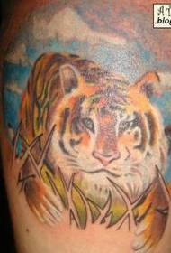 tatuaxe de tigre en cor de pernas