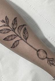 calf growing radish Tattoo tattoo pattern