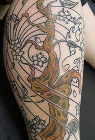 kāju krāsas ķiršu koka tetovējuma attēls