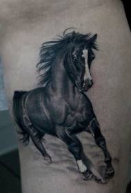 الساقين واقعية الحصان الأسود وشم صورة 36671 - الساق اللون تحت نمط العالم الوشم