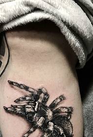 mäns ben Ett tatueringmönster för tarantula 3d