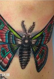 Leg realistic moth tattoo pattern