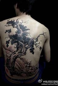 Мужчынская спіна класічны малюнак татуіроўкі сасновай поўнай спіны