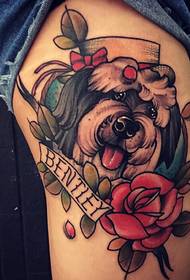 pet dog tattoo 39354-Tag pouze krásné páví peří tetování