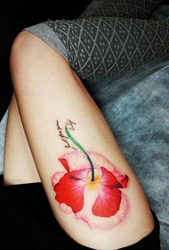 bukuroshe kembet e bukura angleze me lule model tatuazhesh
