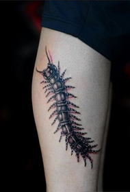 μόδα πόδι προσωπικότητα όμορφο μοτίβο τατουάζ 蜈蚣