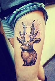 Modello tatuaggio gamba sole coniglio
