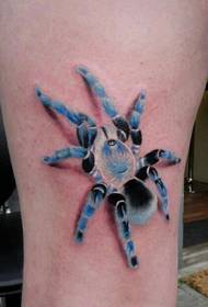 European 3D color spider tattoo pattern