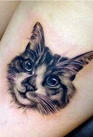 Beauty legs, Peng loves beautiful and beautiful cat avatar tattoo pictures