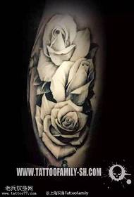 Classic white rose tattoo pattern