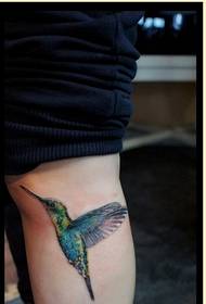 Beautiful and beautiful color hummingbird tattoo pattern picture of personality legs