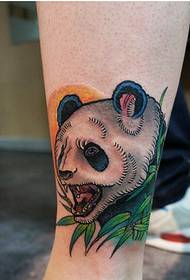 Legs fashion good looking colorful angry panda tattoo pattern pictures