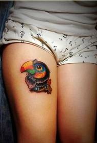Beauty legs cute fashion good-looking toucan tattoo picture