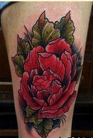 Female legs beautiful colored rose tattoo picture