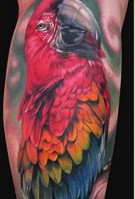 Personality legs fashion pretty parrot tattoo tattoo pattern pictures