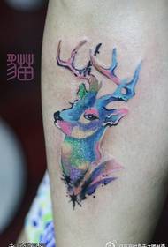 Leg color starry antelope tattoo picture