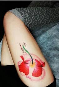 Mooie papavers tattoo-afbeeldingen op de benen