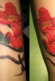 Pola tato katun mahoni merah yang halus