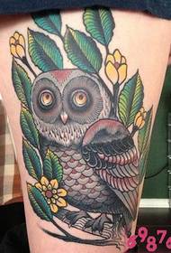 European and American creative owl feather tattoo pictures