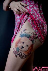 Augšstilba mīlīgo mīluļu suņu tetovējuma attēli