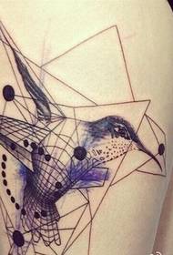 Pretty female legs color concept hummingbird tattoo picture picture