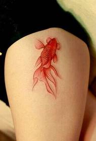 Girl legs beautiful sexy HD little goldfish tattoo picture