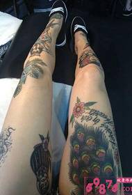 Flickor vackra ben mode personlighet tatuering bilder
