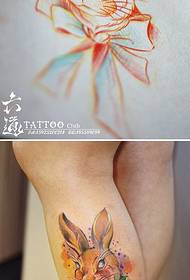 Нога шарени мулти-елемент Алице узорак тетоважа зеца