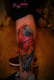 Calf domineering macaw tattoo picture