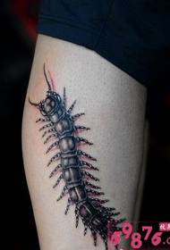 蜈蚣 tattoo picture