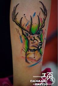 Узорак тетоваже антилопа у боји ногу