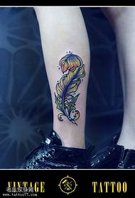 Color personality feather tattoo illustration