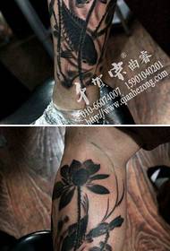 Ink fashion lotus ink squid tattoo pattern