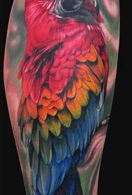Tetovaže papiga u obliku papagaja u boji dijele tetovažu