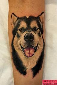 Recommend a personalized husky tattoo