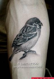 Litet färsk ben fågel tatuering arbete