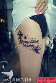 Woman legs colored swallow alphabet tattoo works