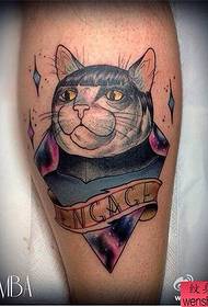 Noha hvězdná kočka tetování práce