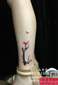 Lányok lábai népszerű pop totem kis fa és madár tetoválás minta