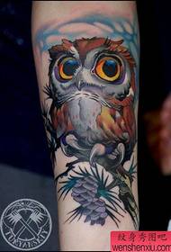 Tattoo show, recommend a leg owl tattoo