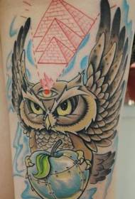 A super handsome owl tattoo pattern on the girl's leg