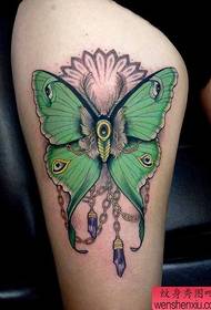 Tattoo show, recommend a leg color butterfly tattoo pattern