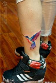 Leg color hummingbird tattoos are shared by the tattoo hall