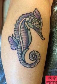 Hippocampus tattoos los ntawm ob txhais ceg yog sib koom los ntawm qhov zoo tshaj plaws tattoos